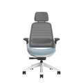 Steelcase Series 1 – Silla de oficina ergonómica