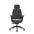 Steelcase Series 1 – Silla de oficina ergonómica